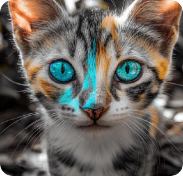 For artists slider image